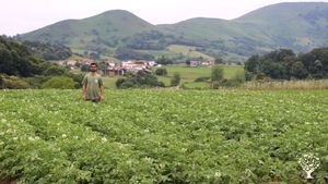 Ferme biologique sur Helette