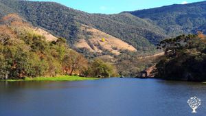Learn bioconstruction and reconnect with nature in a peaceful homestead.