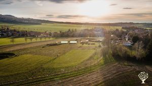 Die Fährte von oben 