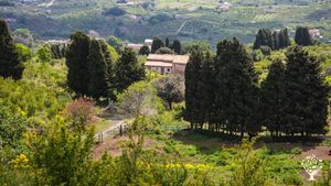 Agriturismo, Azienda Agricola, Progetto di Recupero e Conservazione del Paesaggio