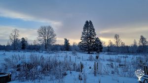 Self-sufficiency amidst Swedish nature with Valais Blacknose sheep and chickens