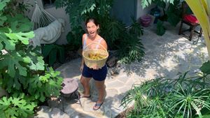 ¡Bienvenidxs! Cocreate on our growing agroecological food forest around Lake Chapala, MX