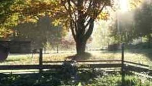 Maison familiale et jardin - rural, Propriété familiale, Petite exploitation, Jardin maraîcher