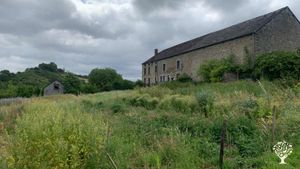 Maraichage de légumes et petits fruits sur +/- 28 ares + jardin forêt en formation