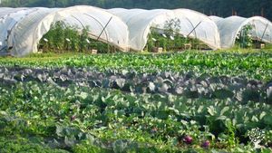 Biologische bedrijf met dieren, groenten, fruit, ... gericht op korte keten.