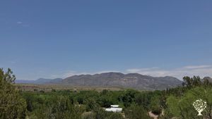 Homestead transitioning to a small organic farm in NM
