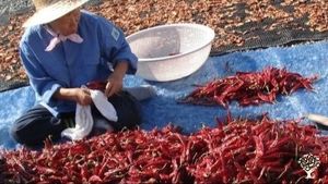 <JN103>사람과 자연이 함께 숨쉬는 곳 / A Place Where People and Nature Breathe Together