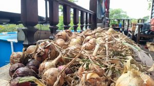 Self-sustaining garden with drip irrigation system, underground cellar and crop rotation.