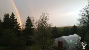View of the greenhouse from the porch 