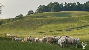 Family farm