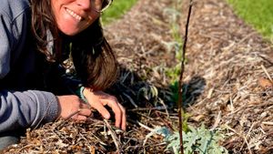 Fattoria Rigenerativa e Sintropica nelle colline del Piemonte