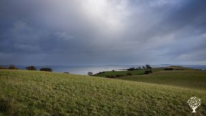Organic mixed farm on a tiny danish island. Join us in working on Bjørnø.