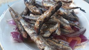 A lot of terraces in need of of a new destination