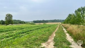 Ferme maraîchère biologique