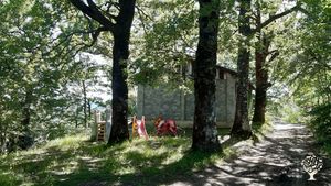 Piccola azienda agricola sull'appennino che coltiva, raccoglie e distilla piante officinali