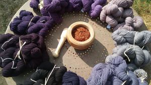 Animaux à laine, création de vêtements pure laine, teinture végétale