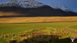Mixed Farm, Farm