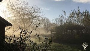 Roundhouse in the mist