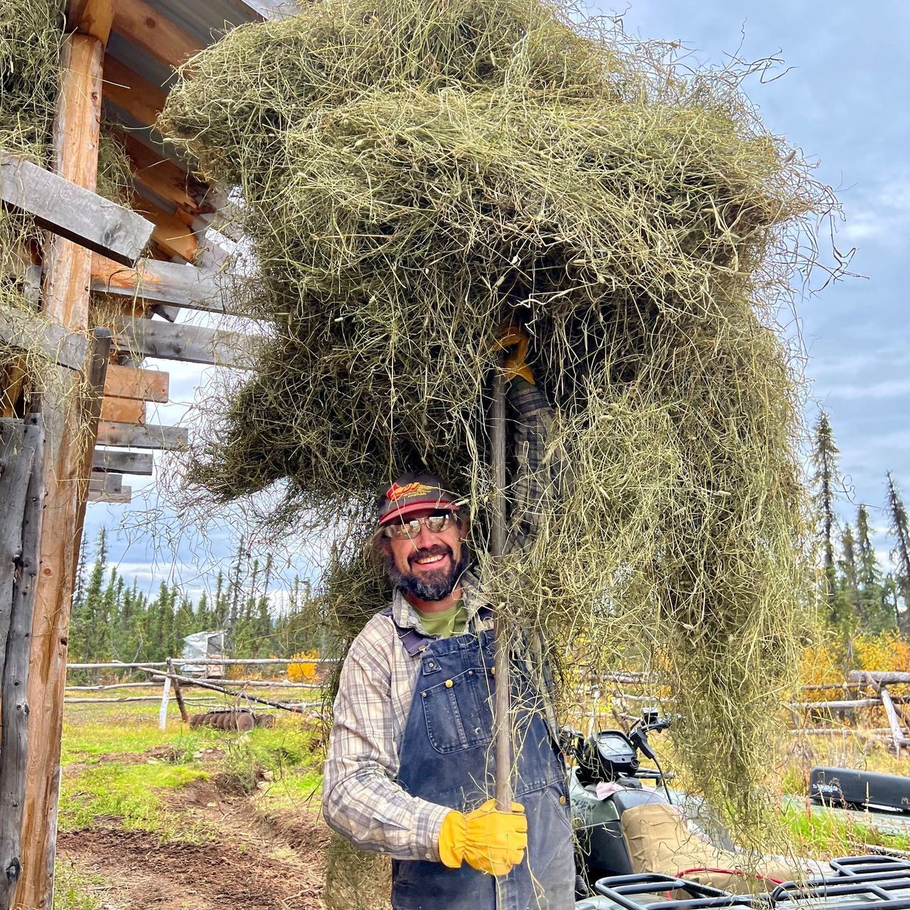 Remote Alaskan horse ranch & veg farm surrounded by wilderness - WWOOF USA
