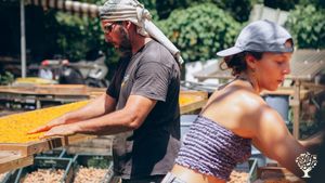 Association qui promeut l'agriculture respectueuse de l'homme et l'environnement dans les Caraïbes