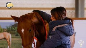 Azienda Agricola e Allevamento  Cavalli a gestione naturale sull Appennino Ligure