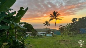 Warm Community - Coffee & C@c@o Farm - on Sunny Kona side