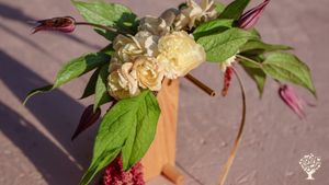 A small traditional cottage, around 100 years old, without electricity or running water.