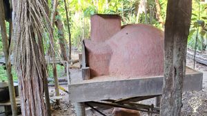 Ecole de Permaculture en environnement tropical humide - Bahia