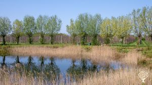 Biologisch fruitbedrijf