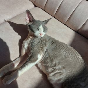 Léanne