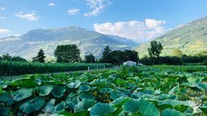 Azienda agricola familiare di montagna