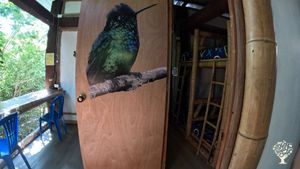 Its a Coliving. Based in biology, we do aquaponics and environmental education in Tayrona