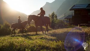 Destinazione Agrituristica, Allevamento di bestiame, Frutteto, Fattoria mista, Azienda agricola