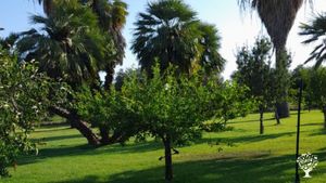 Azienda agricola biologica ad Ispica nel Val di Noto, culla del barocco siciliano
