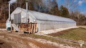 Magical self-sufficiency homestead