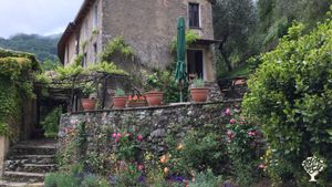 Small farmstead in the hills above Viareggio, growing organic produce and olive trees