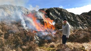 Old Norse sheep and extensive coastal heathland management based on traditional practices. Kitchen g