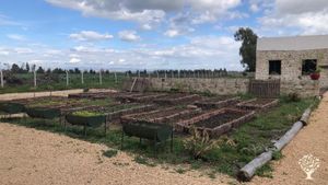 HASAT, TEOMAN  çiftliğinde deneyimsel olarak çiftçilik mesleğinin izlenebildiği kırsal kalk amacı