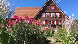 Community farm/ Hofgemeinschaft/ Zugpferde/ Gemüse