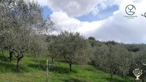 Fattoria di famiglia