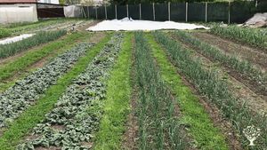 Agricoltura Rigenerativa in Valle Varaita