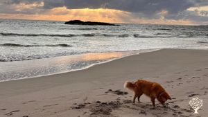 Beautiful beach 2 km from the farm