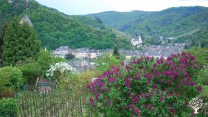 Aussicht von der Terrasse