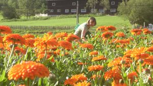 Family home and garden - rural, Agritourism Destination, Flower Garden Farm