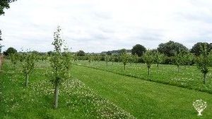 Communal living / cohousing