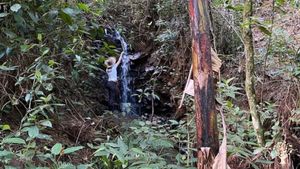 We have 2 little waterfalls inside our land. 