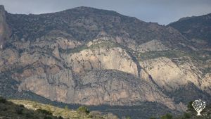 Agritourism Destination, Eco Retreat, Flower Garden Farm, Fruit tree nursery, Orchard, Family farm