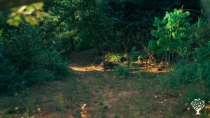 Family permaculture homestead