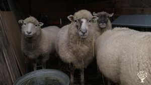 Grower of speciality edible flowers, herbs and greens