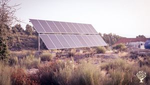 Etsbalished permaculture farm needs help